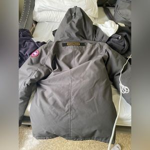 canada goose